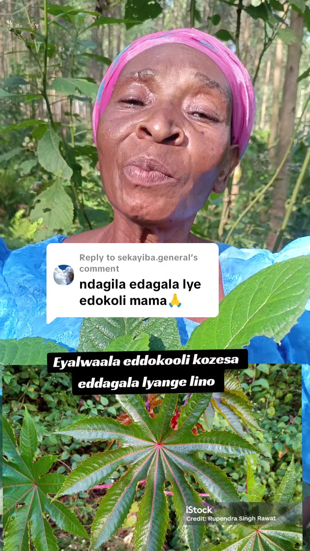 @Nalongo Nalwemanyidde