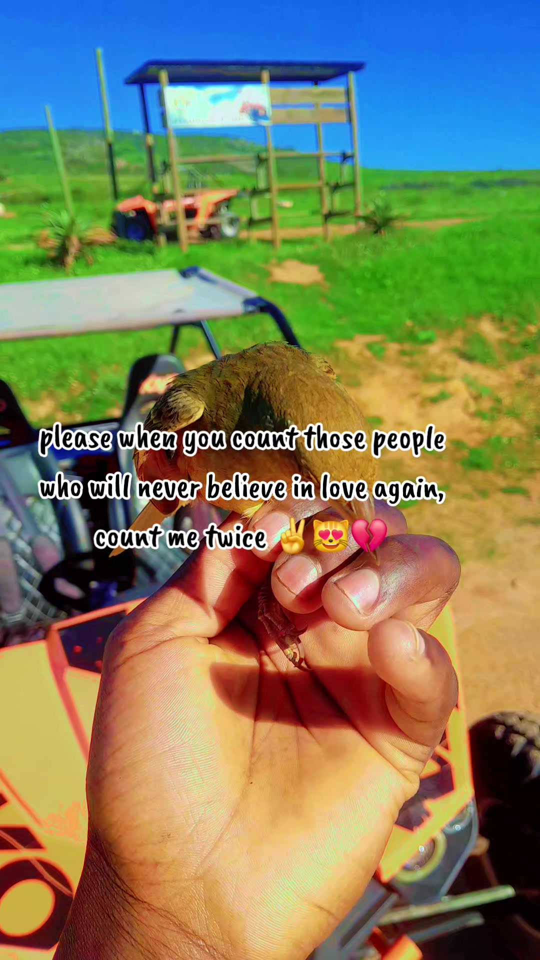 @👑Î'm Ñèíĺś👑