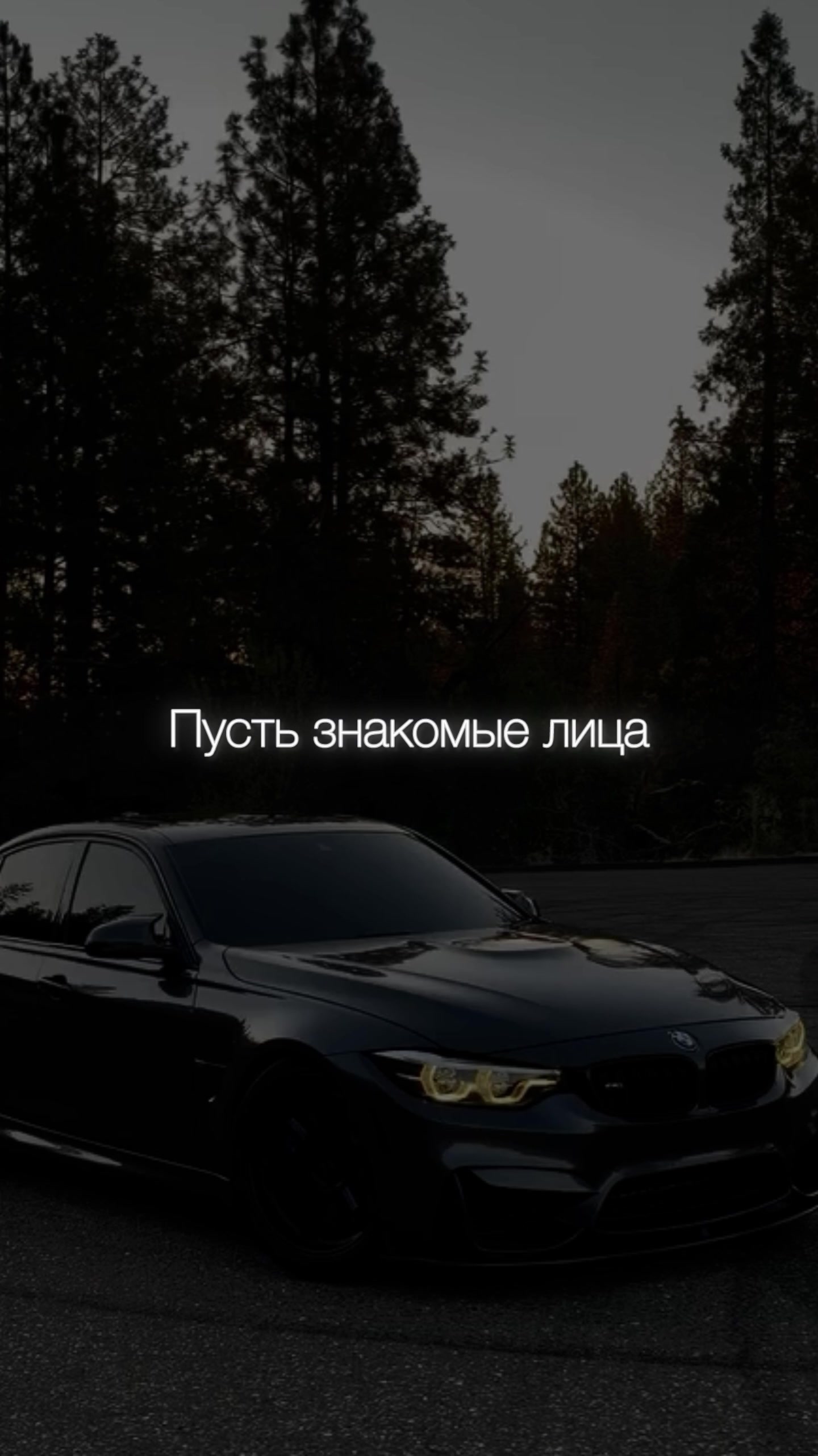 @НЕУЛОВИМЫЙ