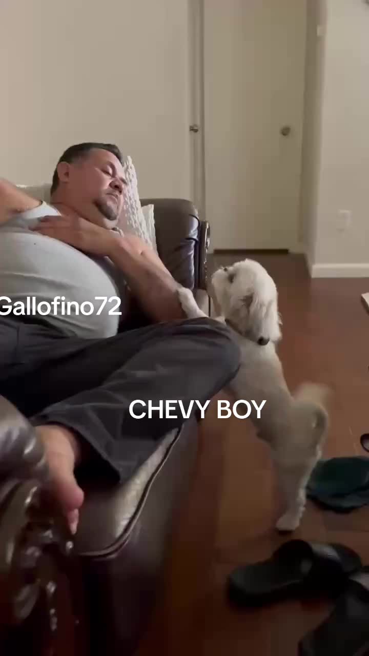 @ElGalloFino