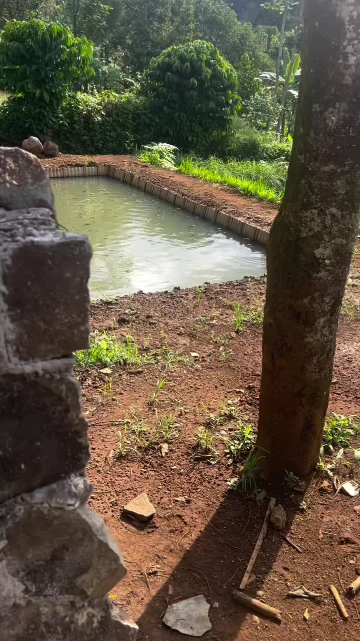 @Tajoel
