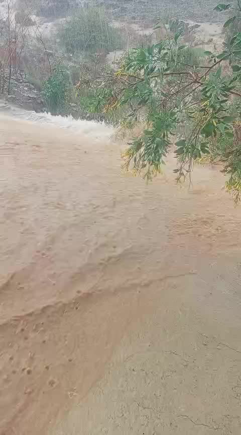@AMBREN.GUL