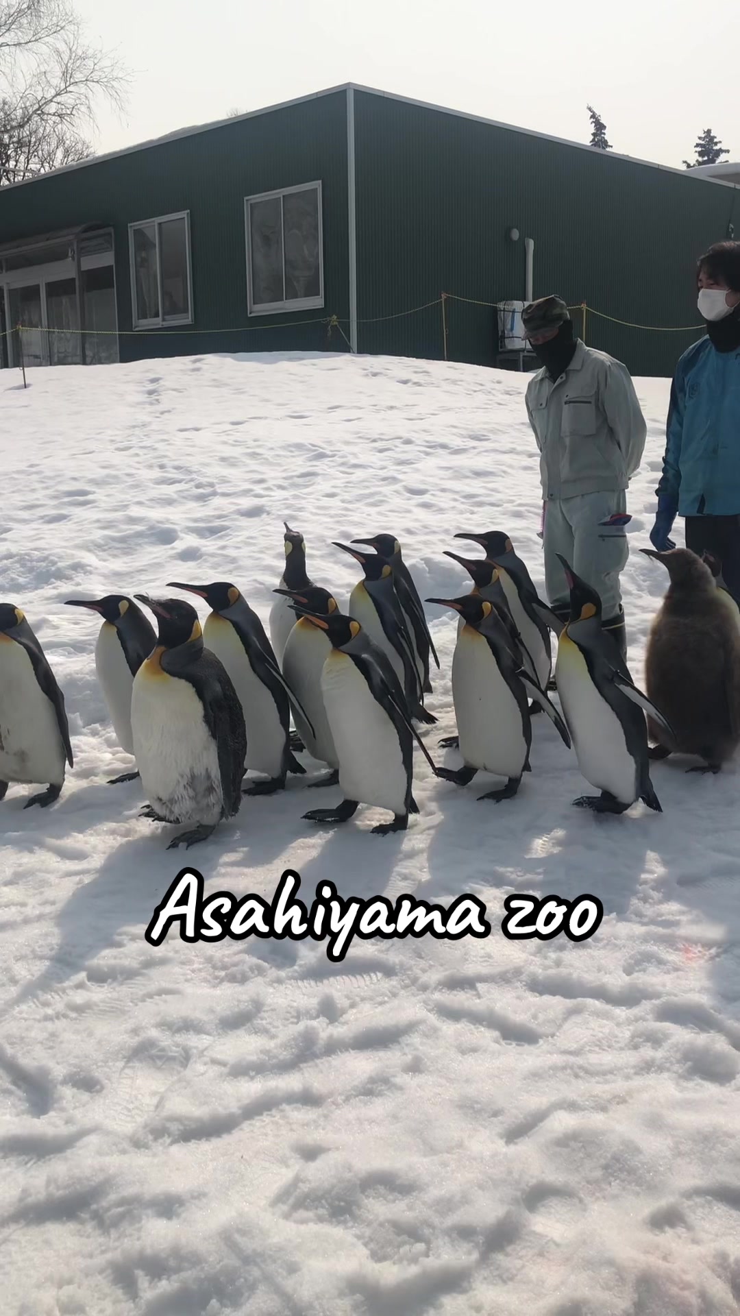 @zero