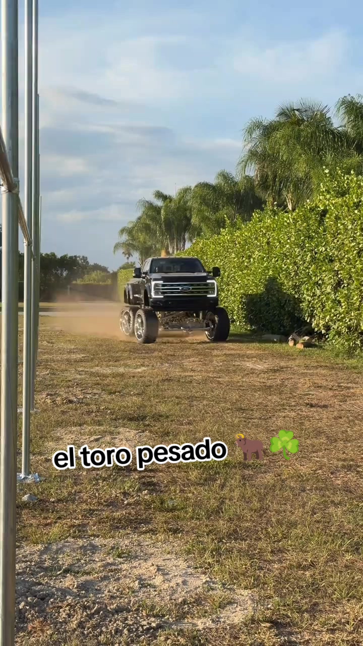 @el toro pesado ๐โ๏ธ