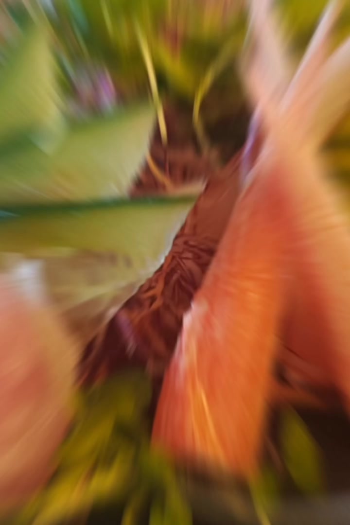 @M"ESSA" GB"