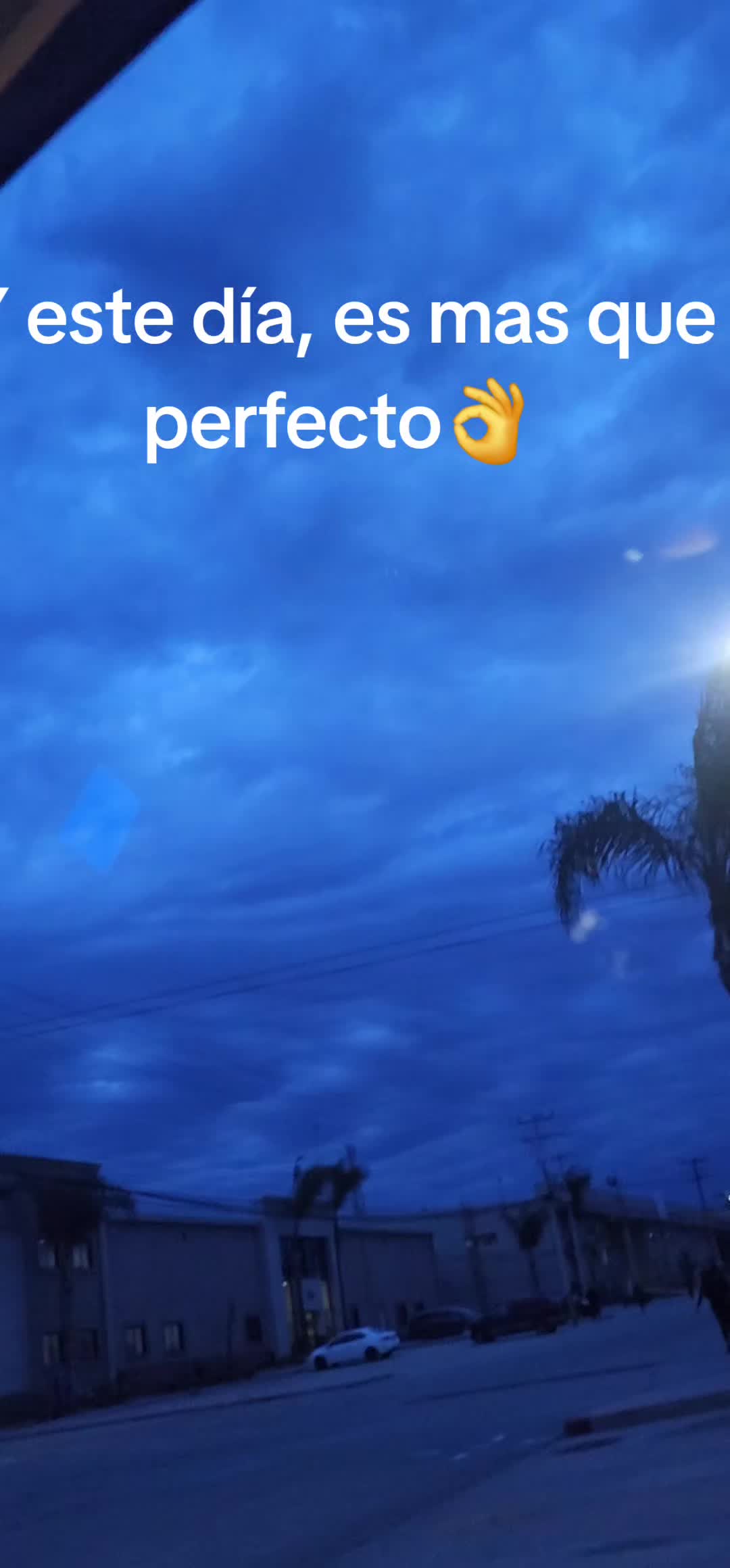 @Anabel Romero