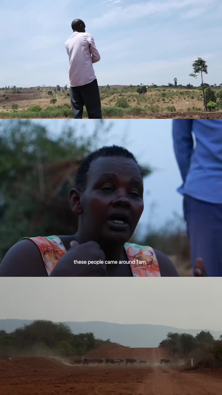 @openDemocracy