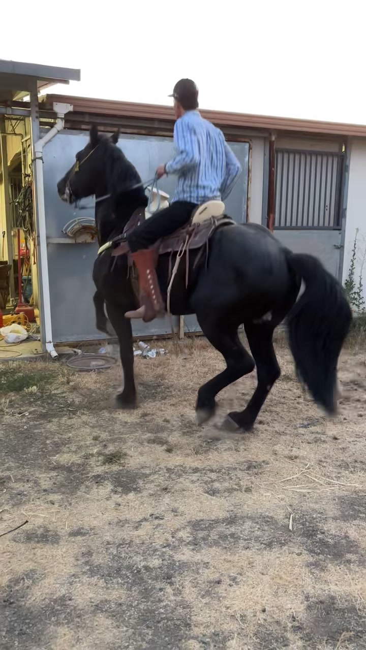 @Compa_guero04