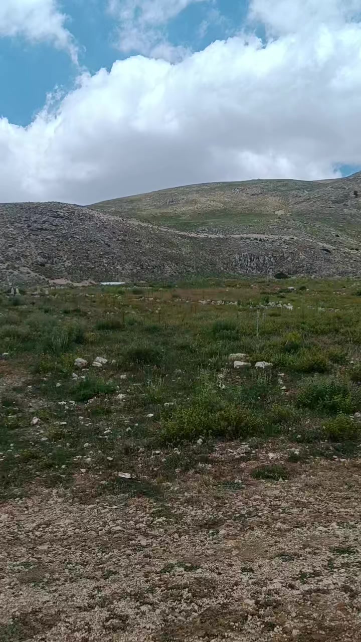 @Nazif Geriş