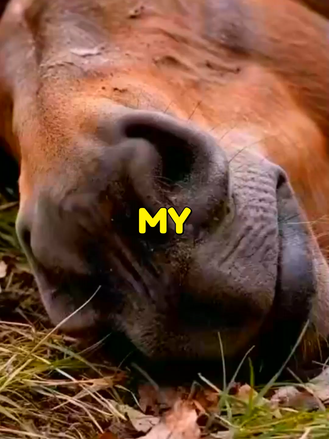 @&deg;