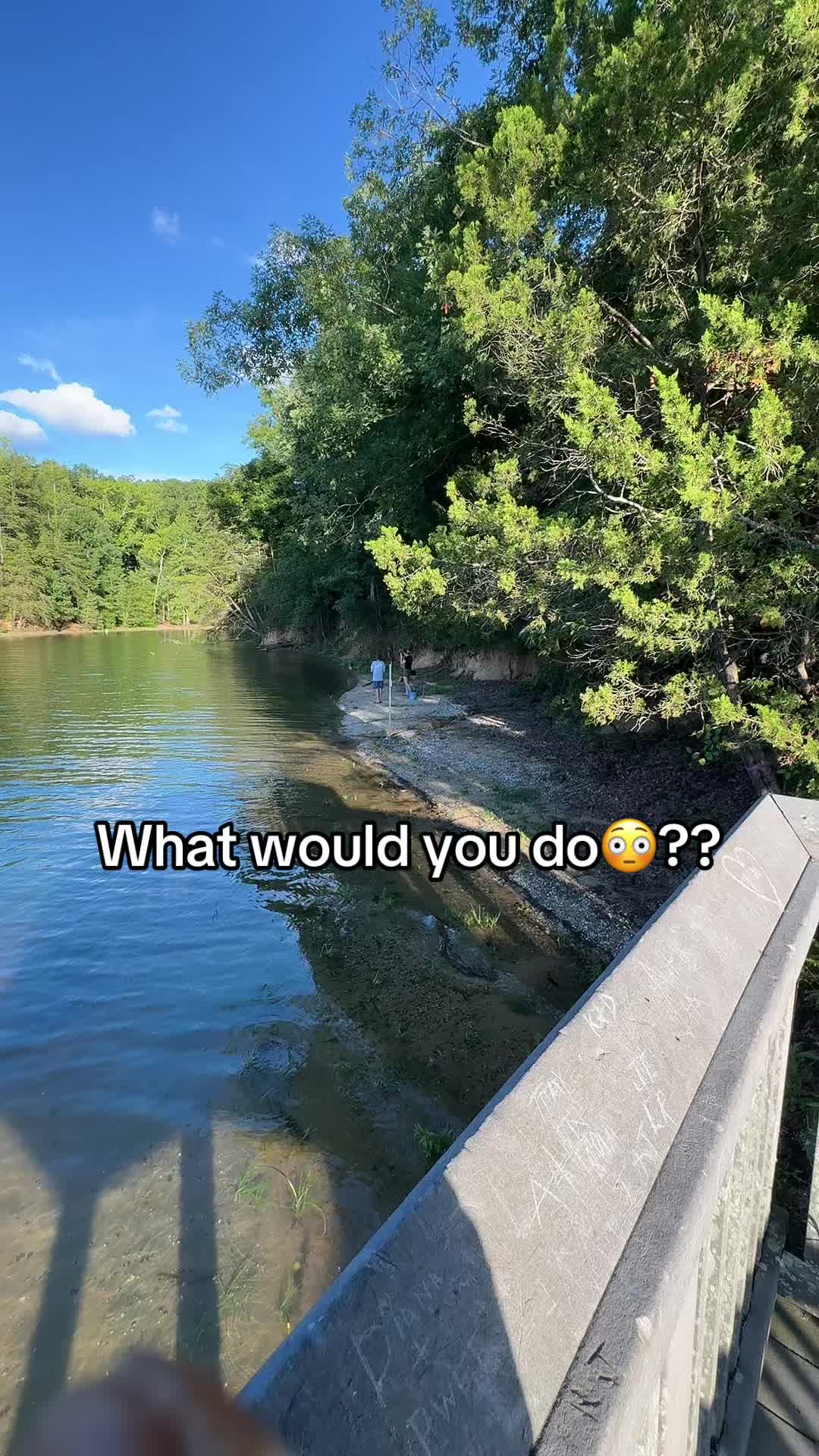 @peace2mateo143