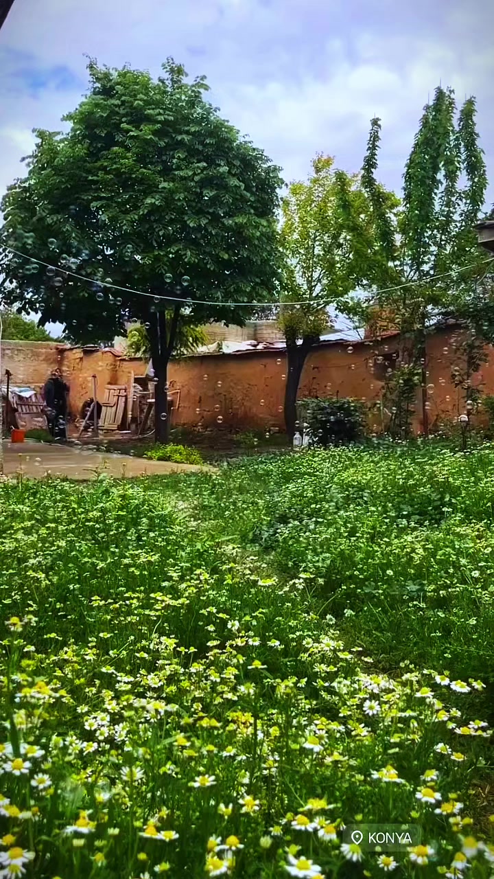 @muzaffertoprakcı