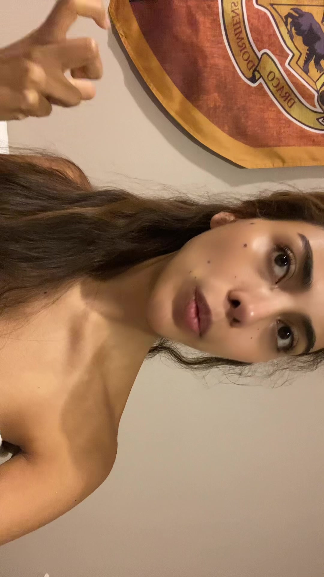 @sofilacuriosaa