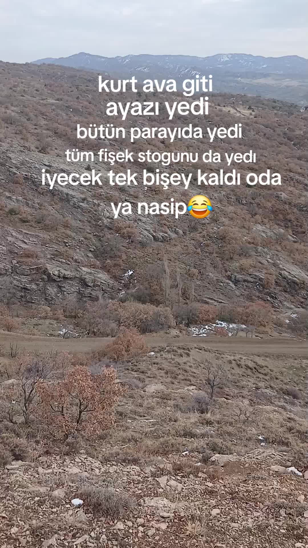 @avci