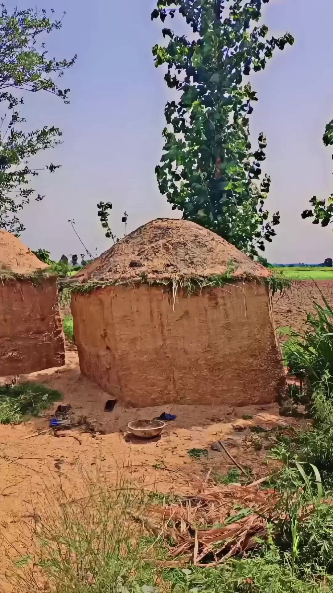 @Syed Shahkar Ali Shah