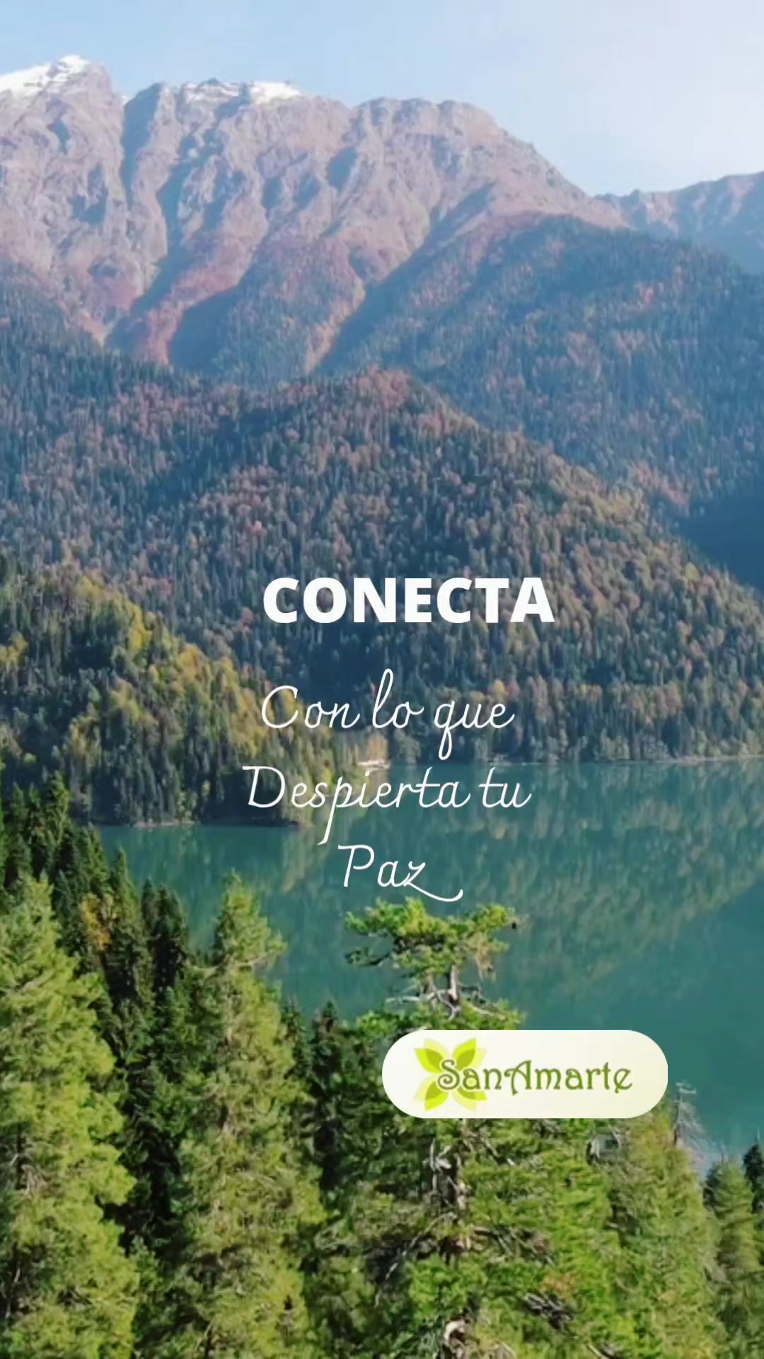 @SanAmarte 💚💚💚