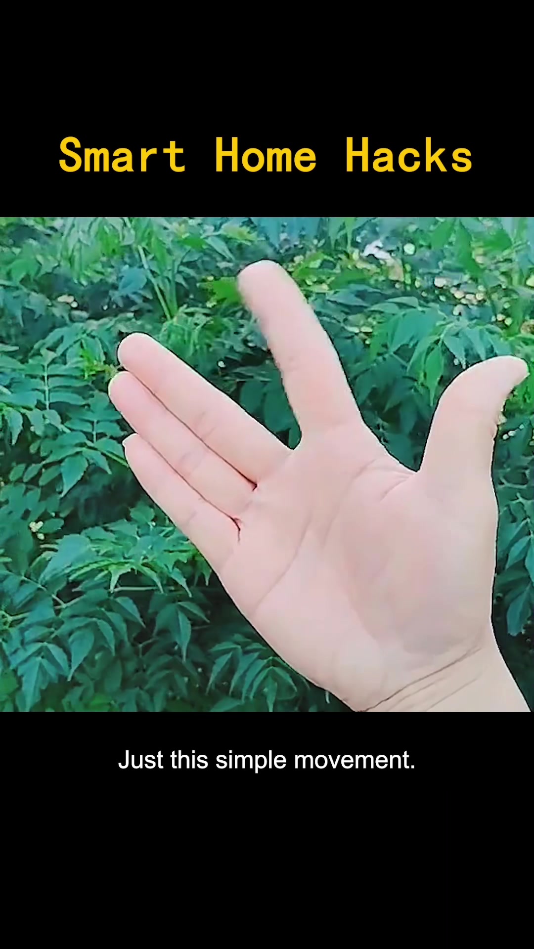 @lordlyhaye