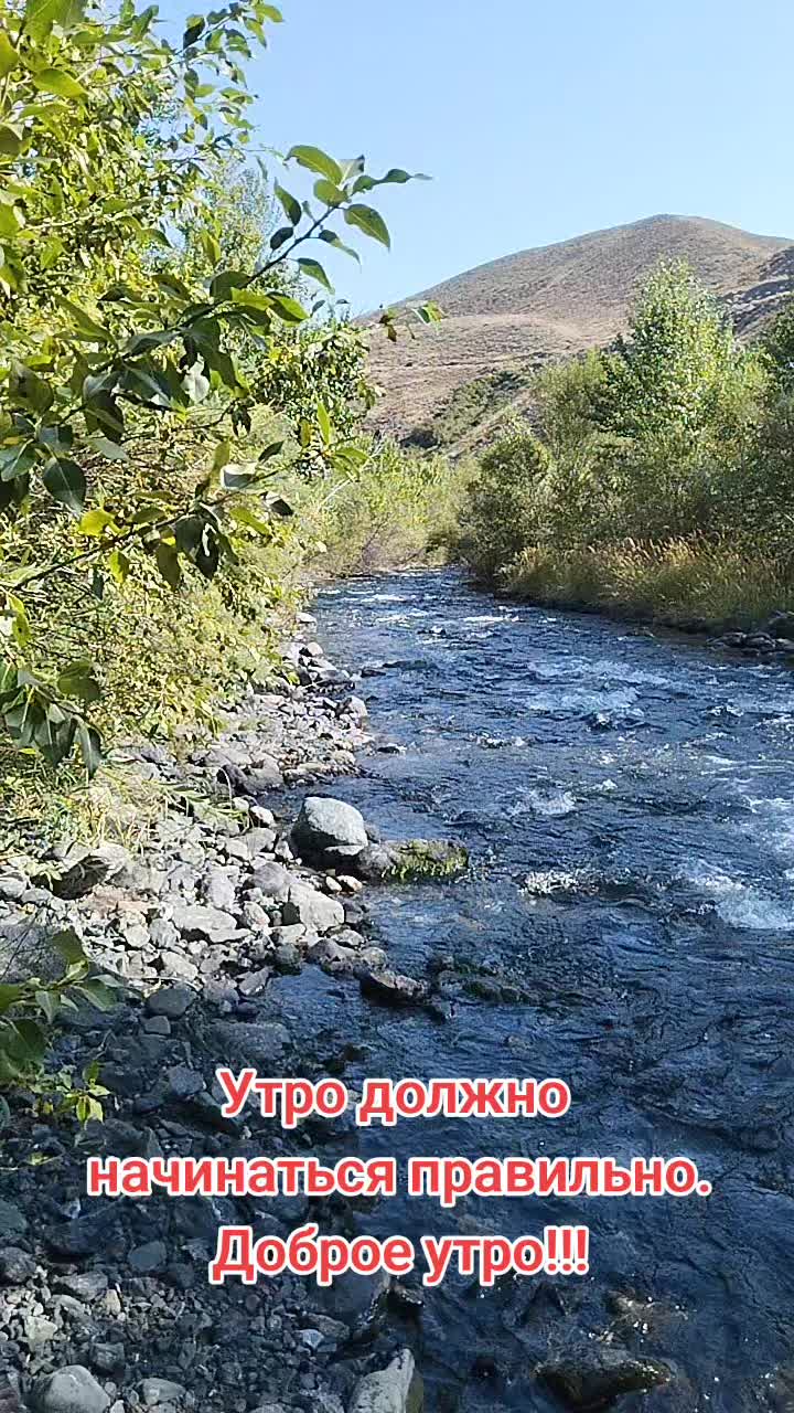 @😊 РЫБКА😊