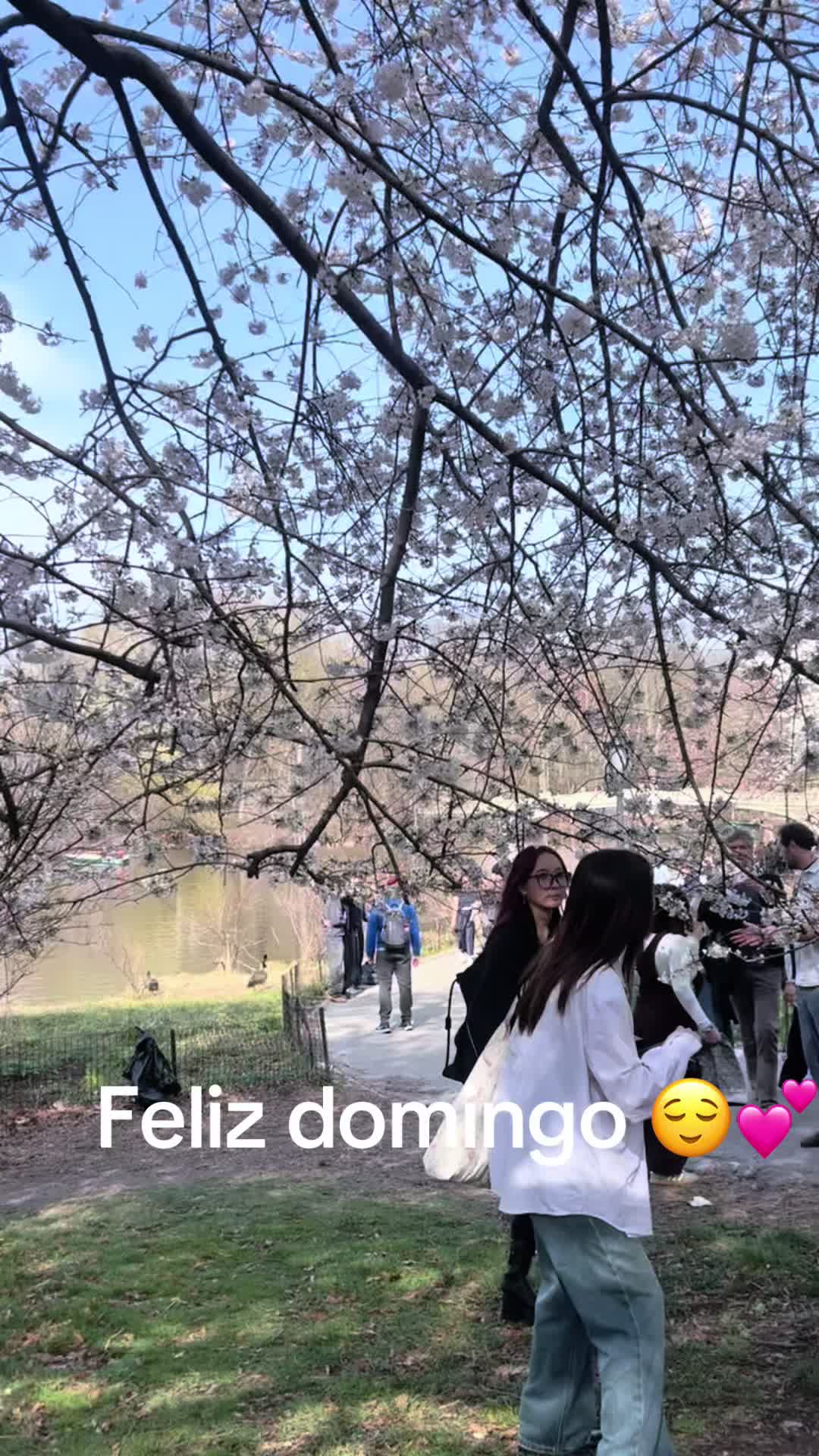 @Mari &Aacute;ngela