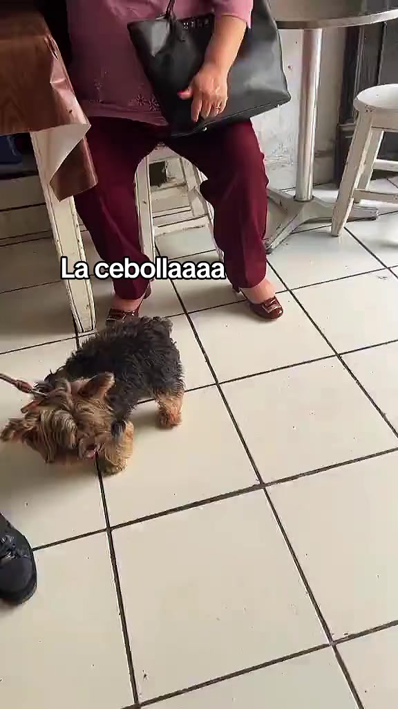 @Andr&eacute;s🧃