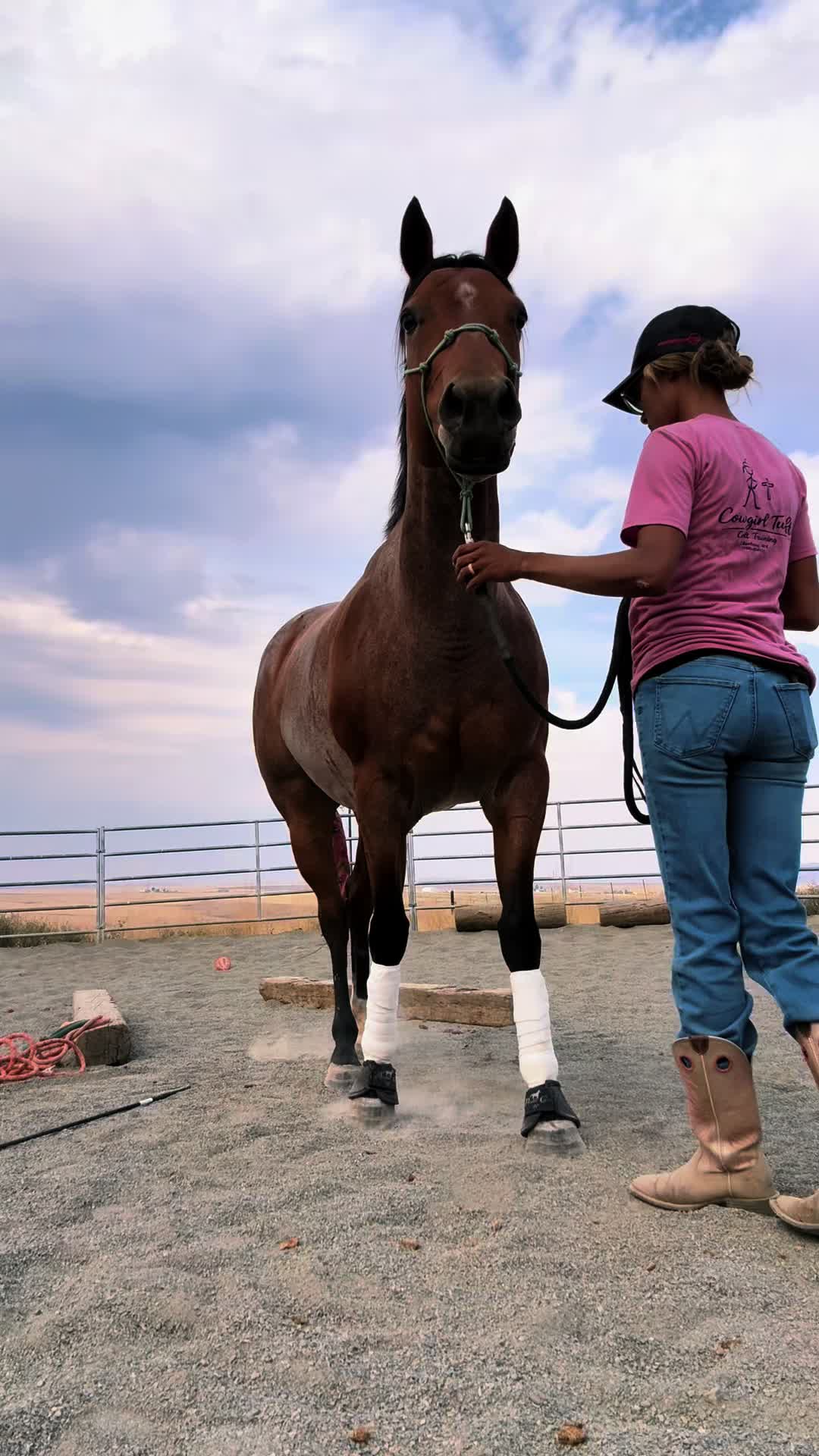 @Cowgirl Tuff Colt Training ❤️