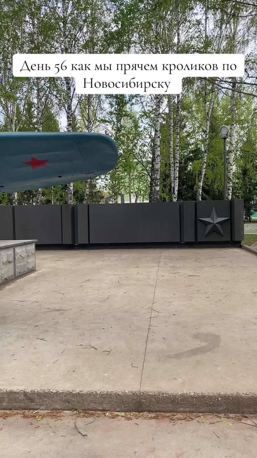 @Кролики