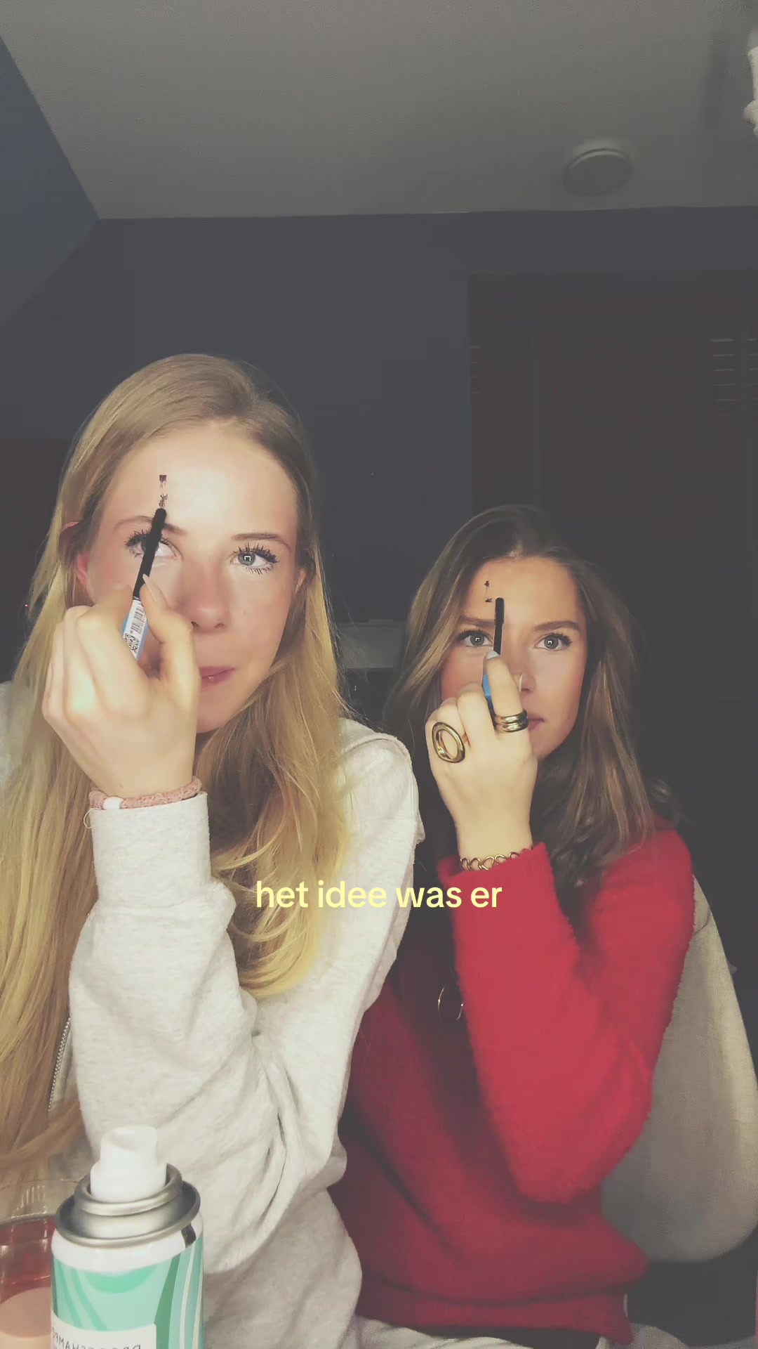 @merit en evelijn