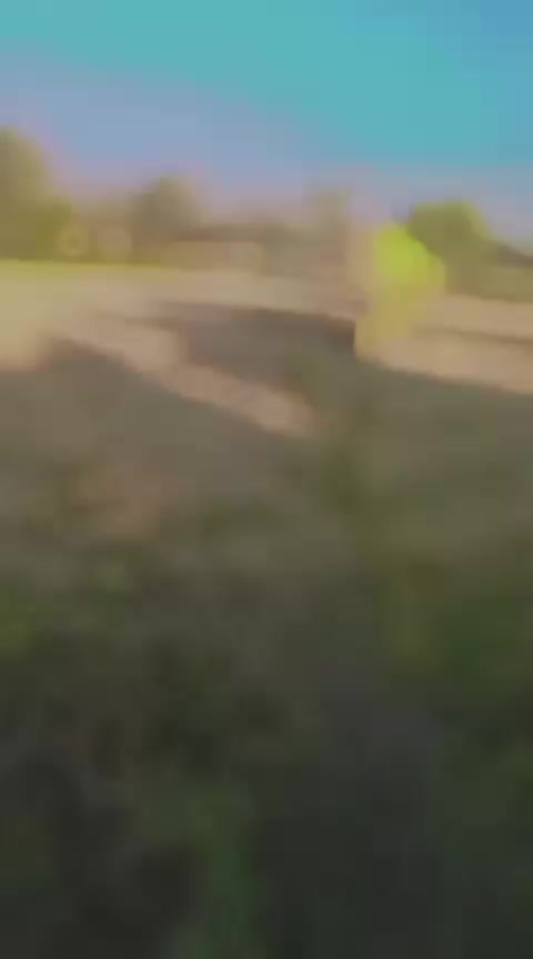 @Ramiz Bajjar 1