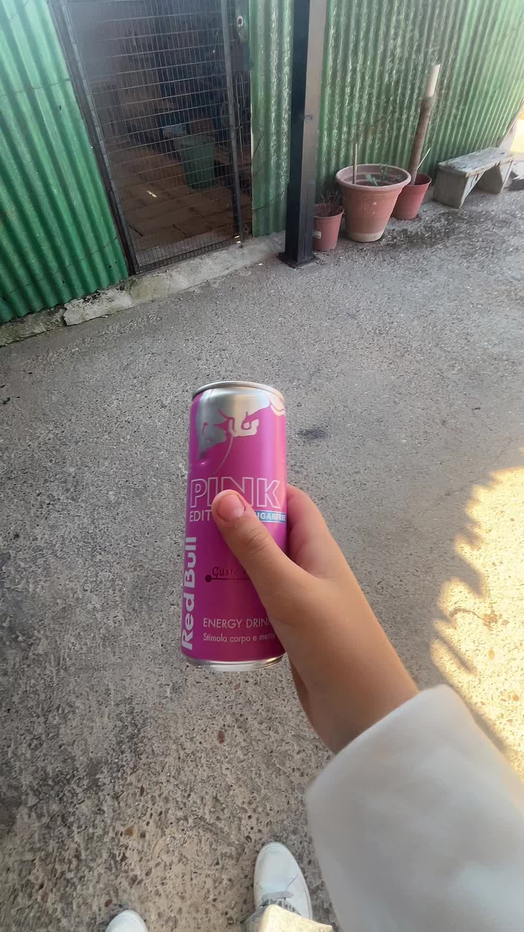 @Giulia🤍