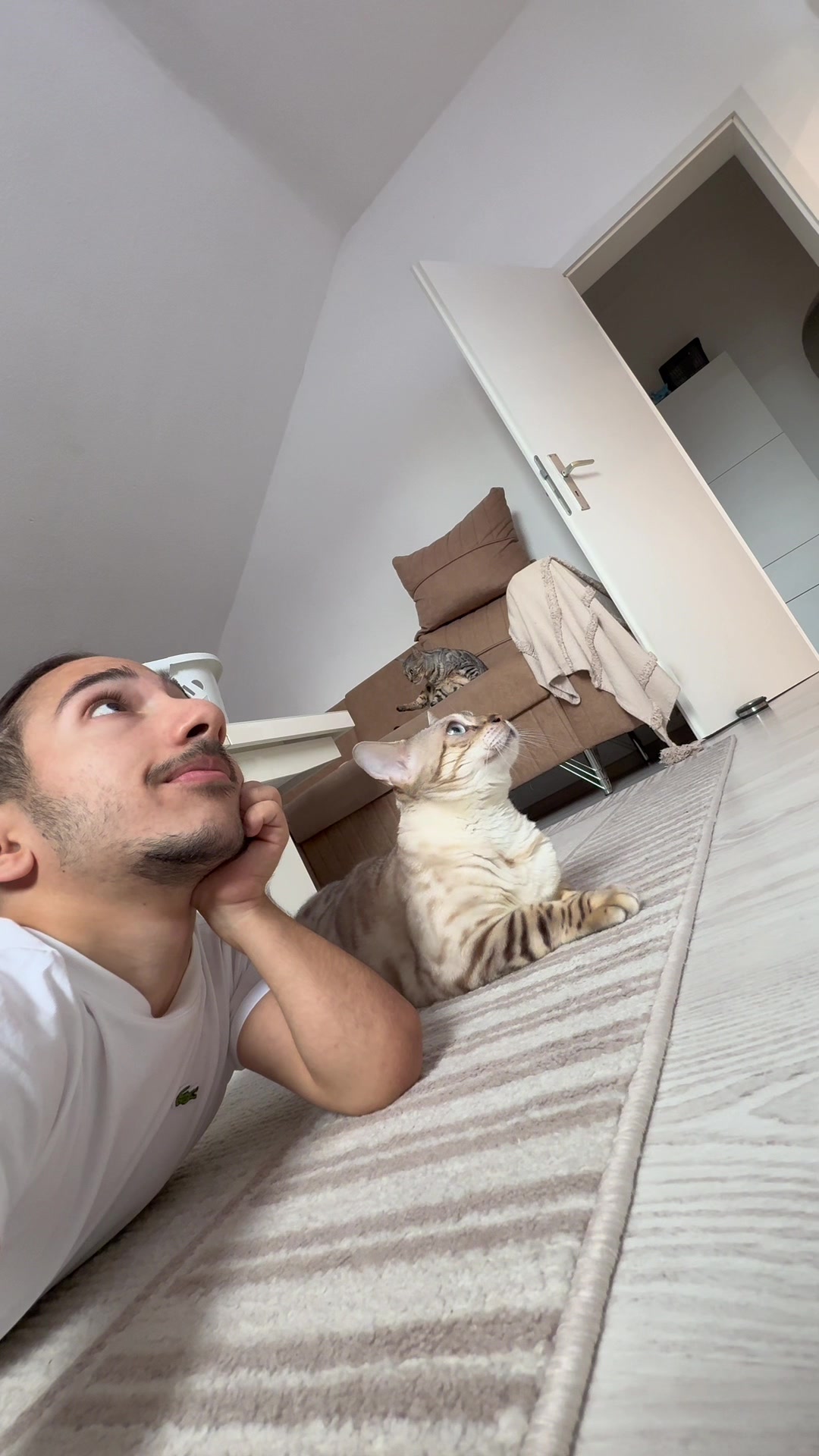 @Yusi