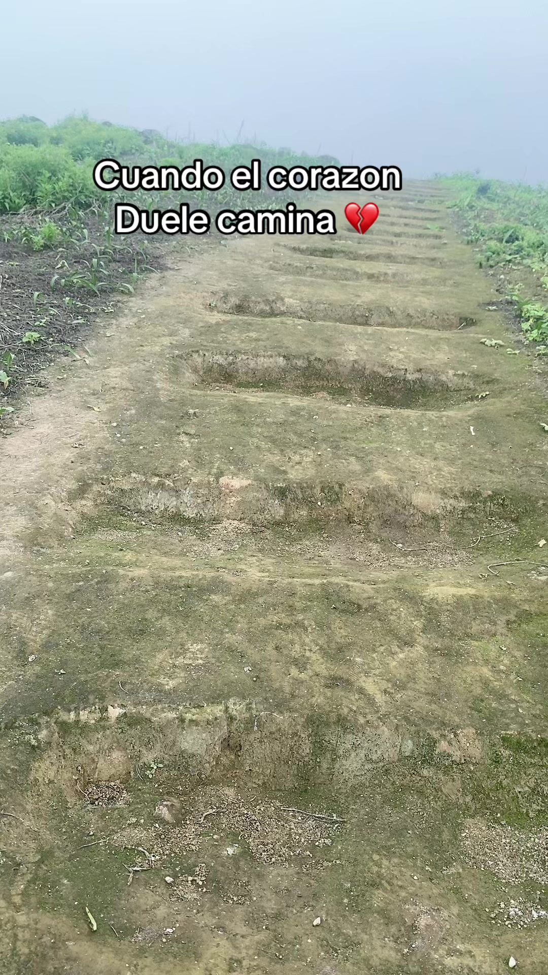 @Andreita
