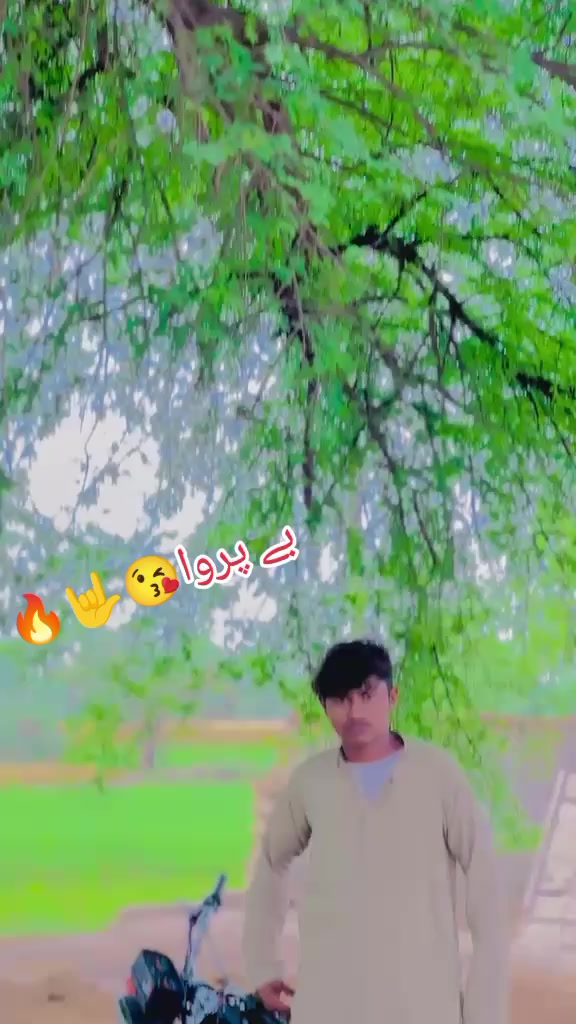 @wajid sahoo888