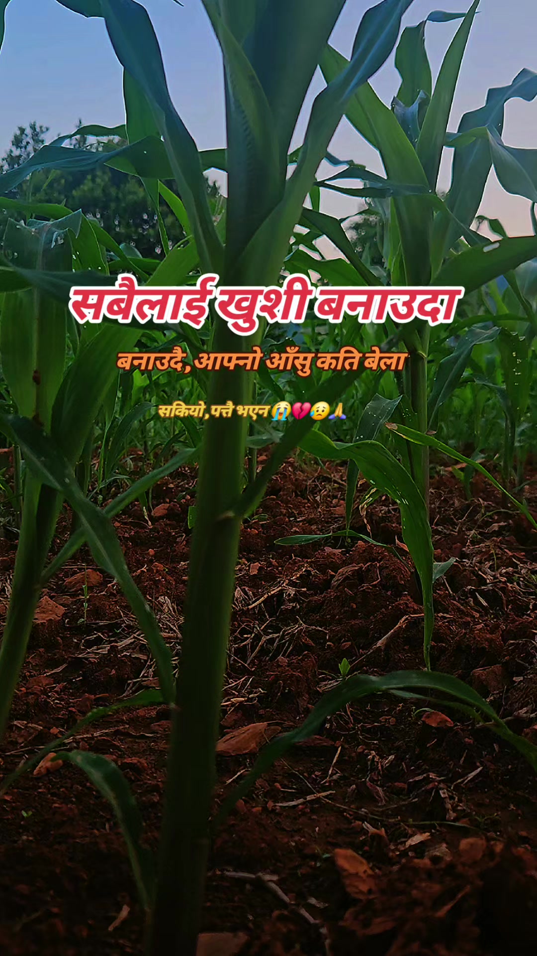 @AASHISH🤗🤗