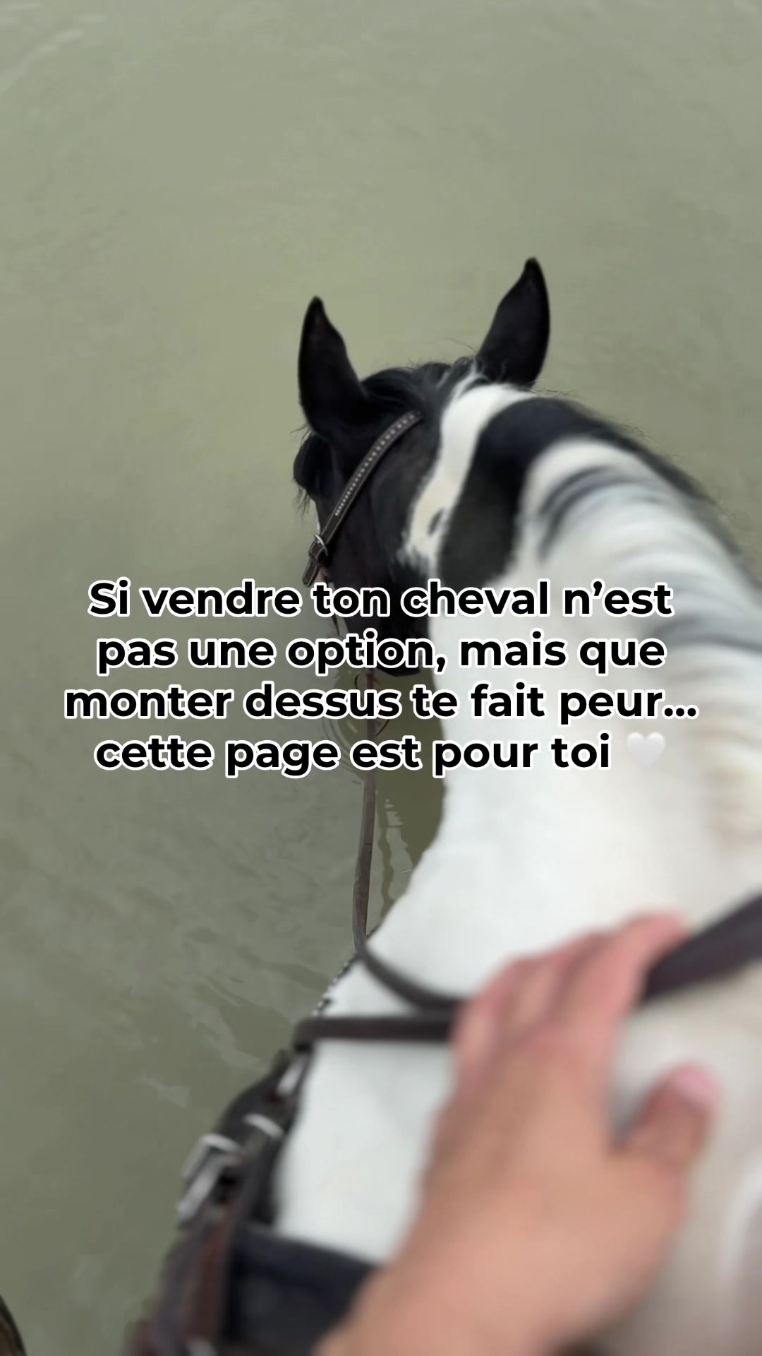 @Rose-alie St-hilaire - Coach🐴