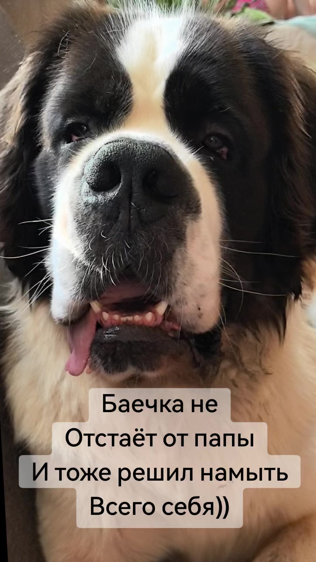 @Людмила