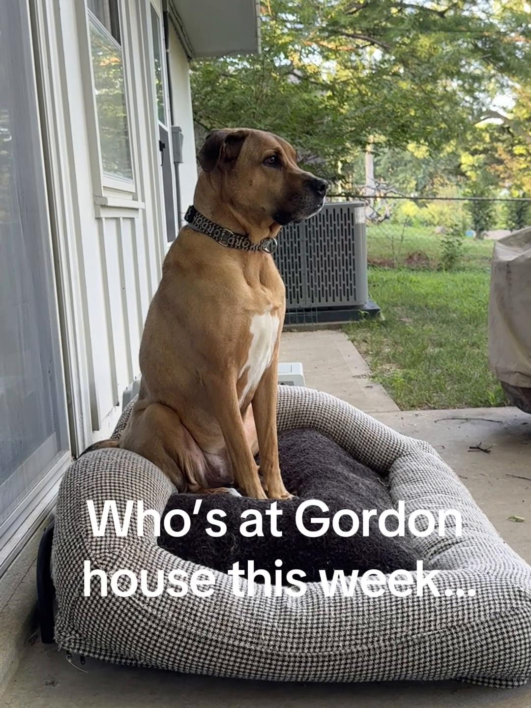 @GordonsFosters