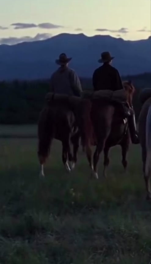 @HORSES