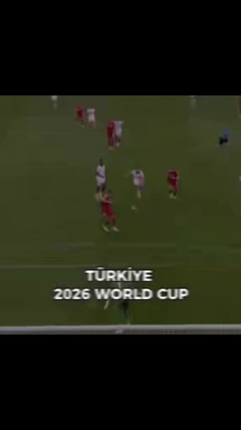 @tolga
