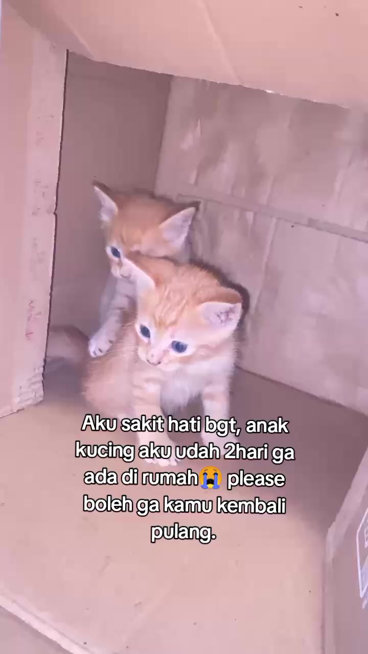 @Hii_ghita