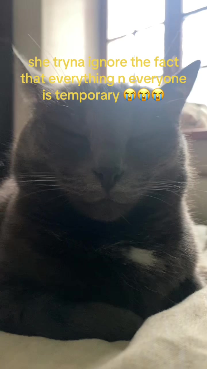@⃟