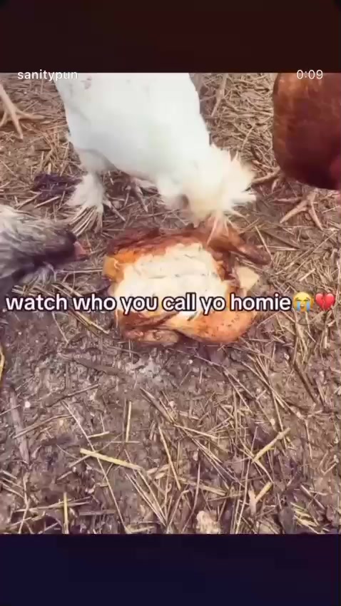 @jay_the_kfc_ambassador