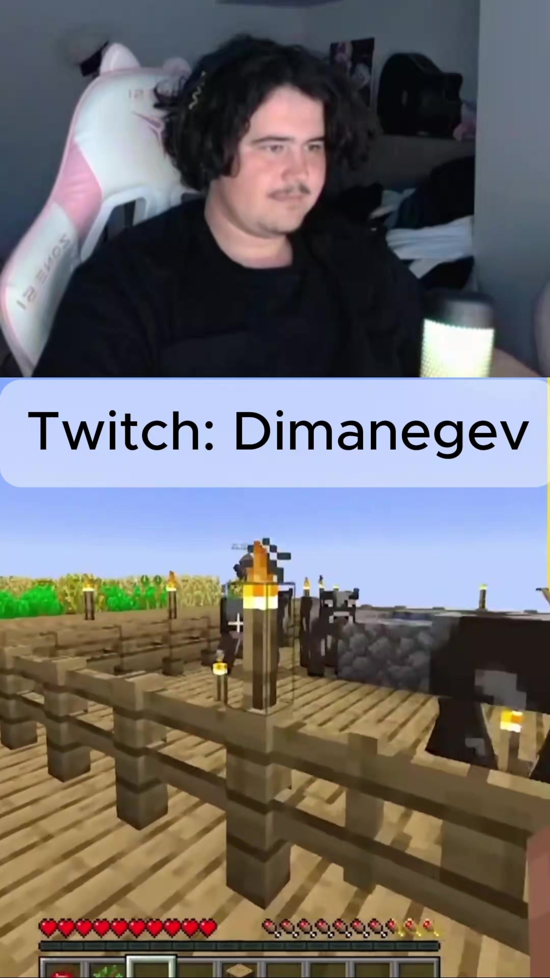 @Dimanegev Fan