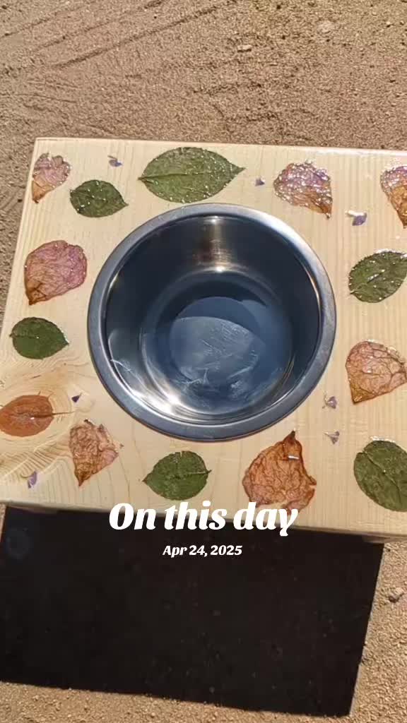 @TheMoonlightFox