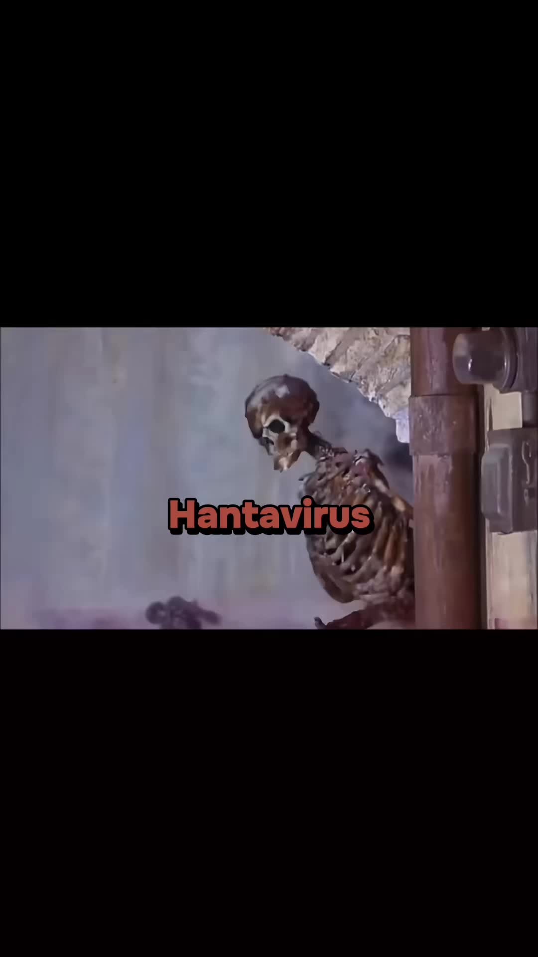 @N A D I A