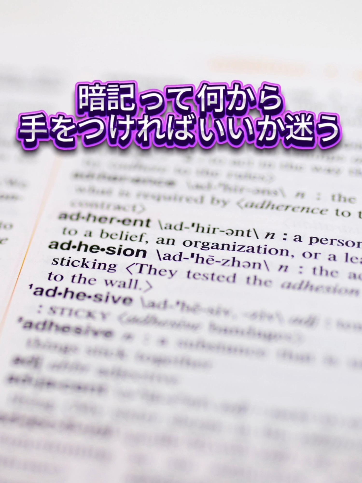 @家庭教師のIOI