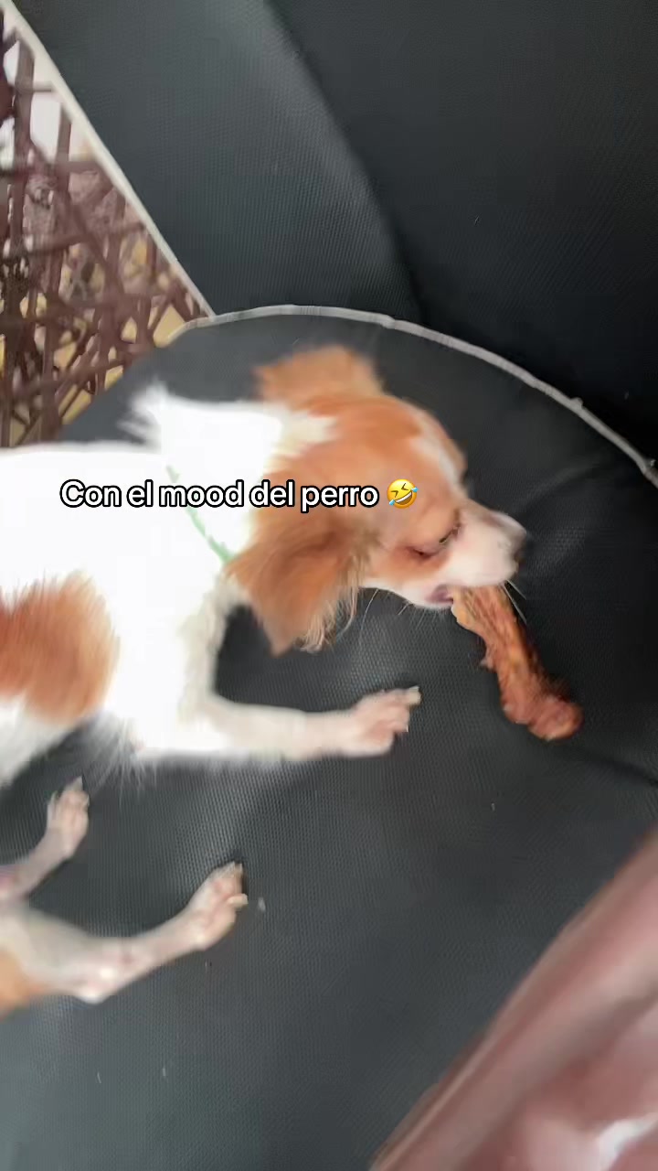 @Soy_vane🫦🦌