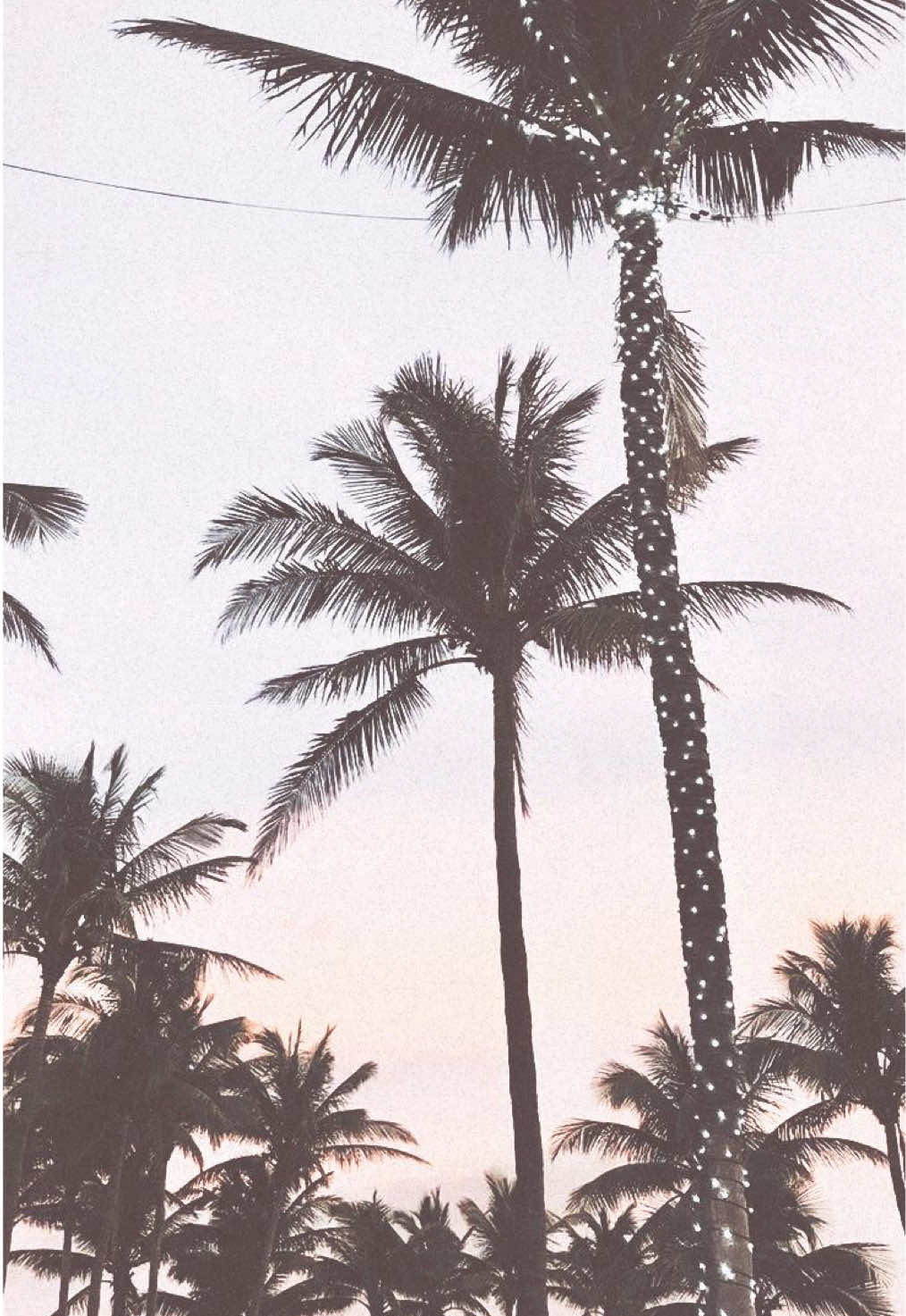 @˚₊‧꒰ა𝒶𝓃𝒶𝓈𝓉𝒶𝓈𝒾𝒶໒꒱ ‧₊˚