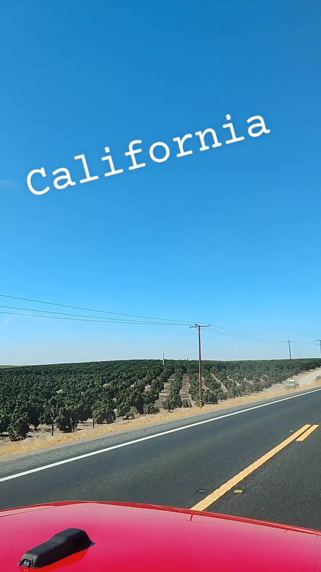 @KingGeedra