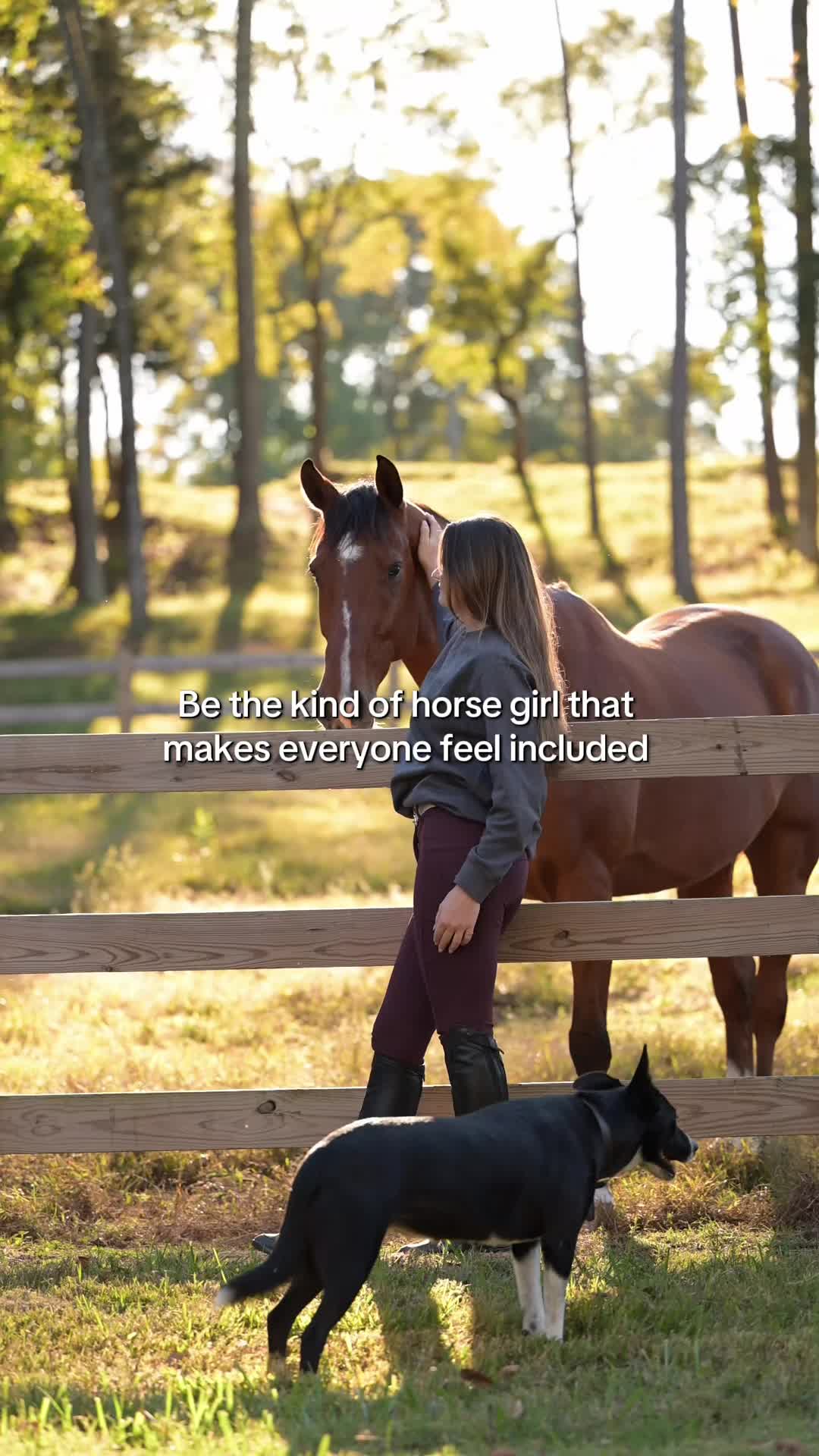 @Free Ride Equestrian