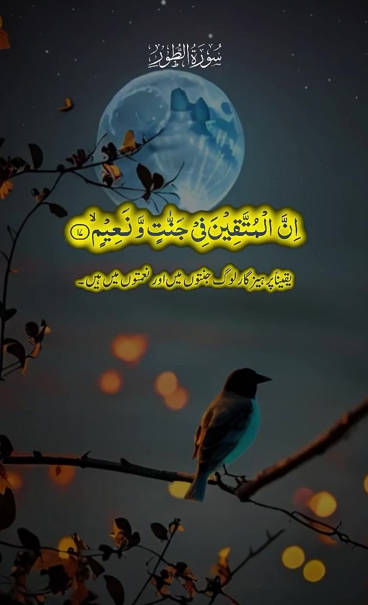 @🛳️ANEES🤝🤲🌹M. A 🚁🛳️